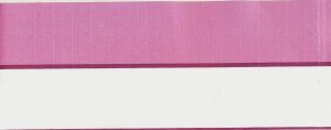 PINK / WHITE STRIPE BORDER 