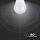 Lampadina LED Chip Samsung E27 4,5W A++ G45 6400K Bianco freddo