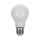 Lampadina LED E27 8W A67 Filamento Satinato 6400K Bianco freddo