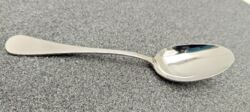 ELEGANCE SPOON 20 CM