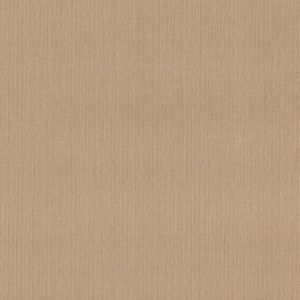 Sinfonia wallcovering light brown