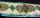 BORDURE ADHÉSIVE TOLEDO