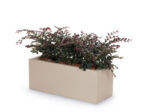 BOX KUBE