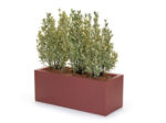 BOX KUBE