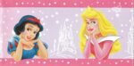BORD ADHÉSIF  JARDIN DE ROSES DE LA PRINCESSE DISNEY