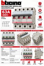 Sezionatore Modulare Quadripolare Bticino 63A - F74/63